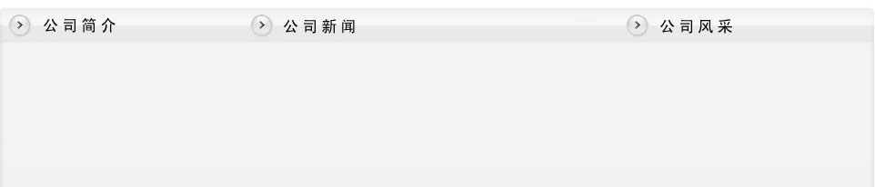 檢測報告